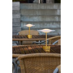 Sinus Portable - Brass