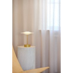 Sinus Portable - Brass