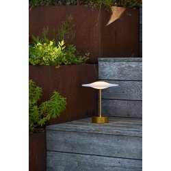 Sinus Portable - Brass