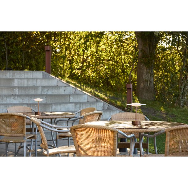 Sinus Portable - Bronze