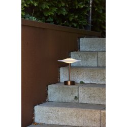 Sinus Portable - Bronze