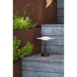 Sinus Portable - Bronze