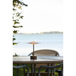 Sinus Portable - Bronze