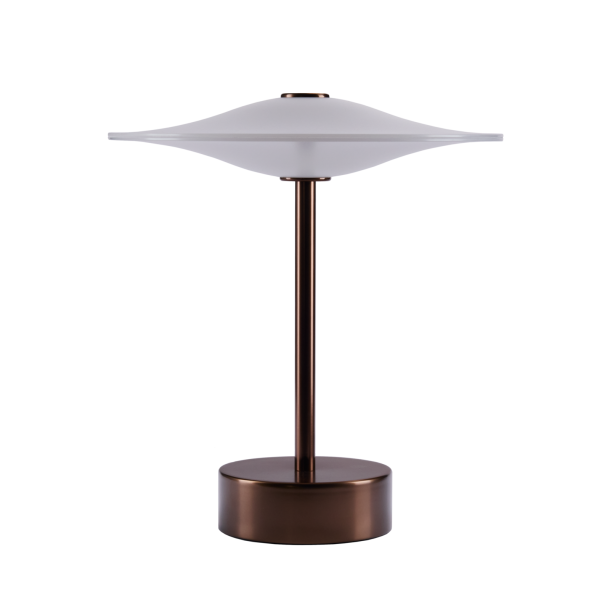 Sinus Portable - Bronze