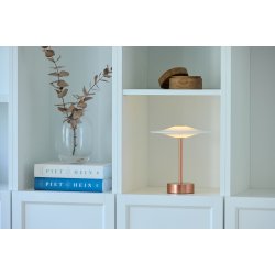 Sinus Portable - Copper