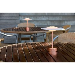 Sinus Portable - Copper