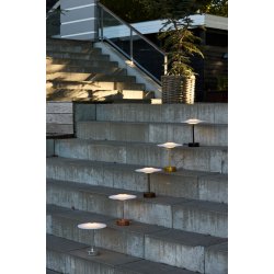 Sinus Portable - Copper