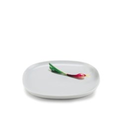 16*19 cm superellipse Plate WHITE - piet hein