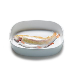 Superellipsefad porcelain 23*30 cm - HVID H�J - 2. sort.